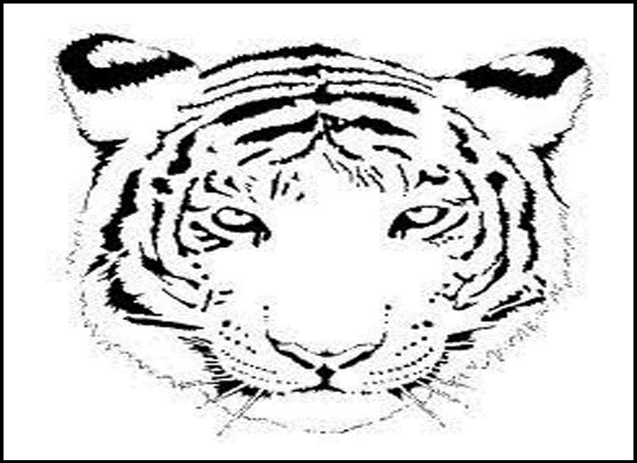 Tiger Face Coloring Page