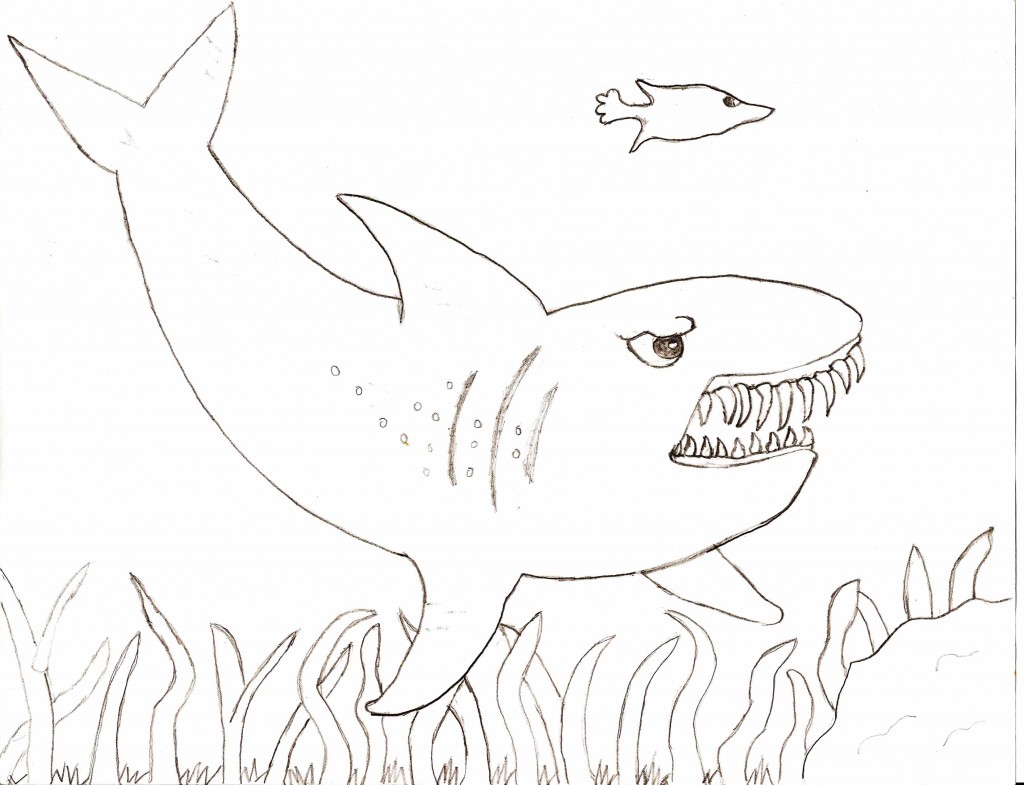 Tiger Shark Coloring Page