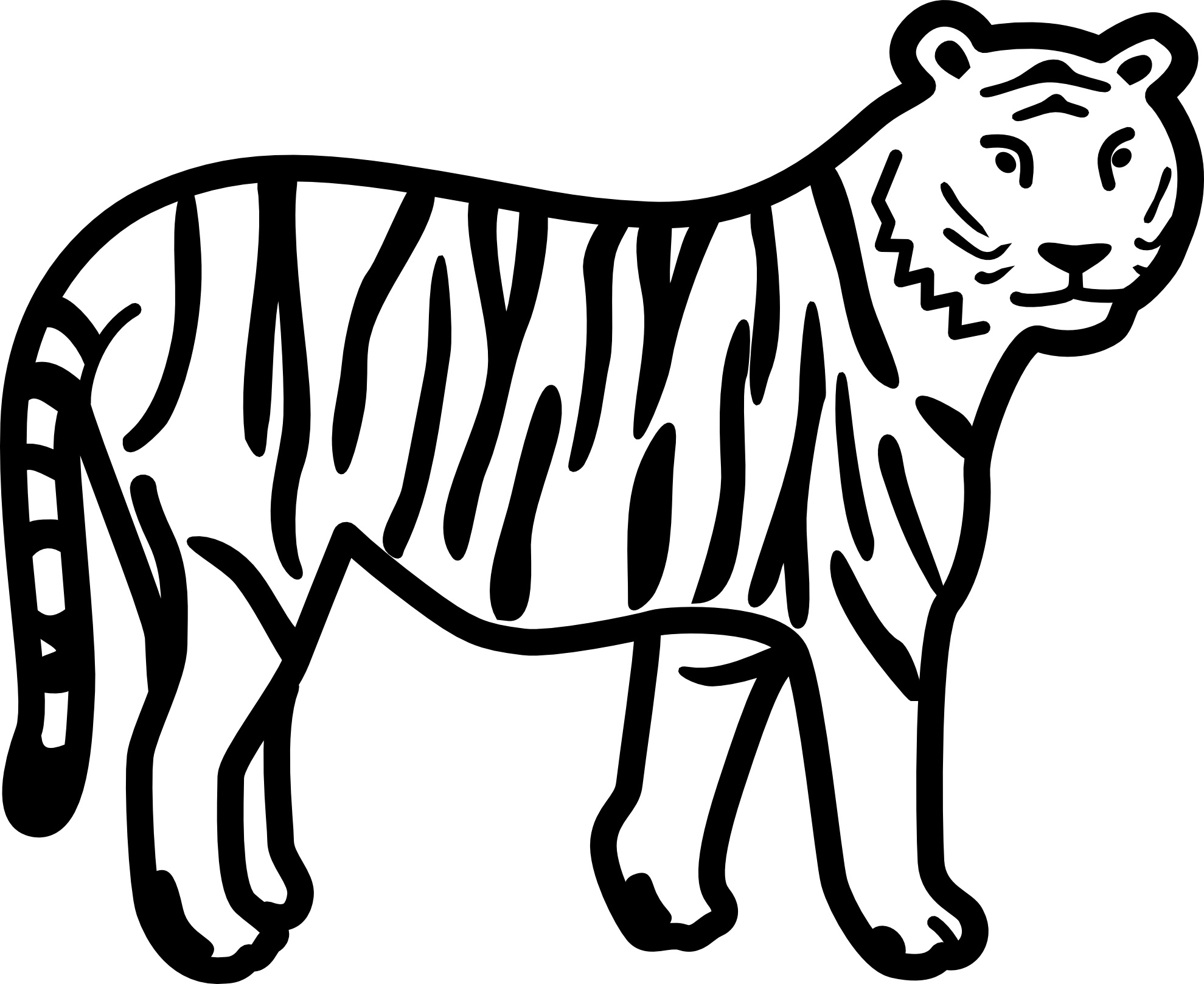Colour pencil drawing of a Sumatran tiger by UK artist Gary Tymon