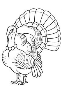 Free Printable Turkey Coloring Pages For Kids