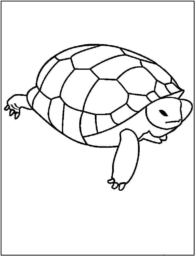 a turtle tale coloring pages - photo #15