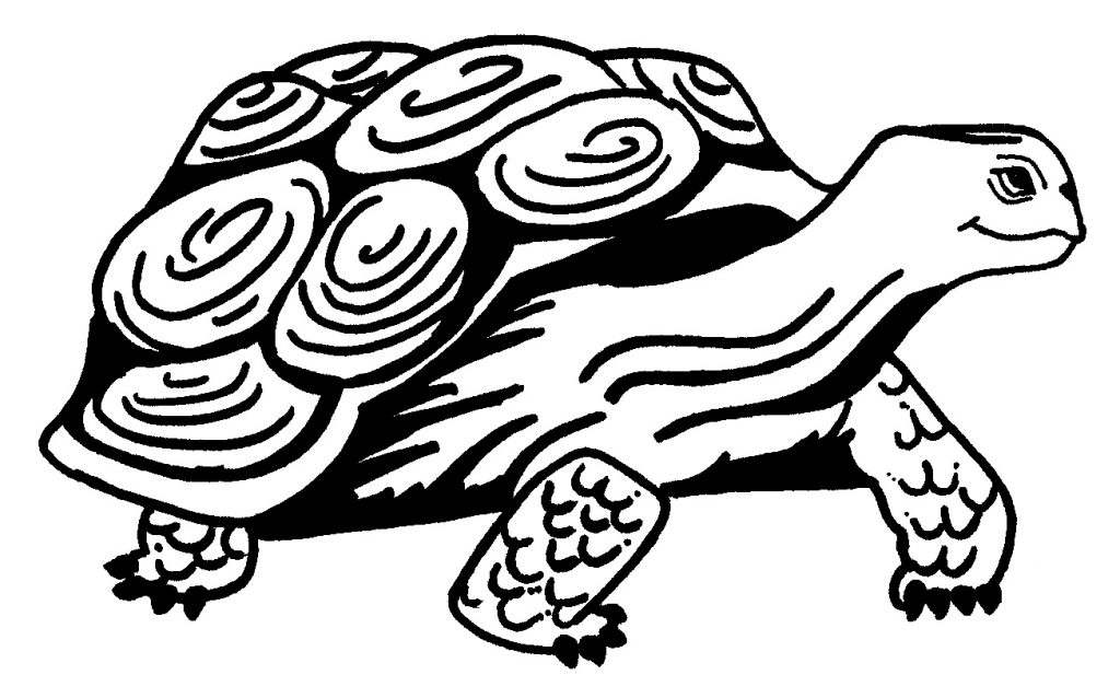 Turtle Coloring Pages Free Printable - Printable World Holiday