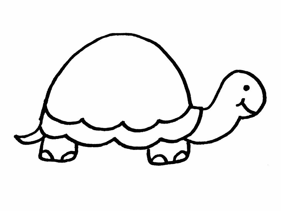 Free Printable Turtle Coloring Pages For Kids Free Printable Turtle 