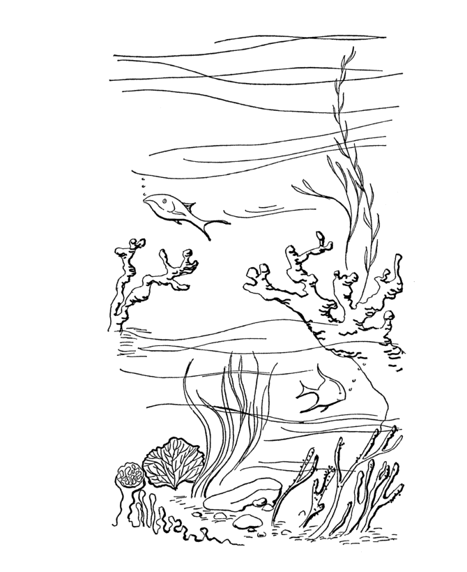 Under The Ocean Scene Coloring Page