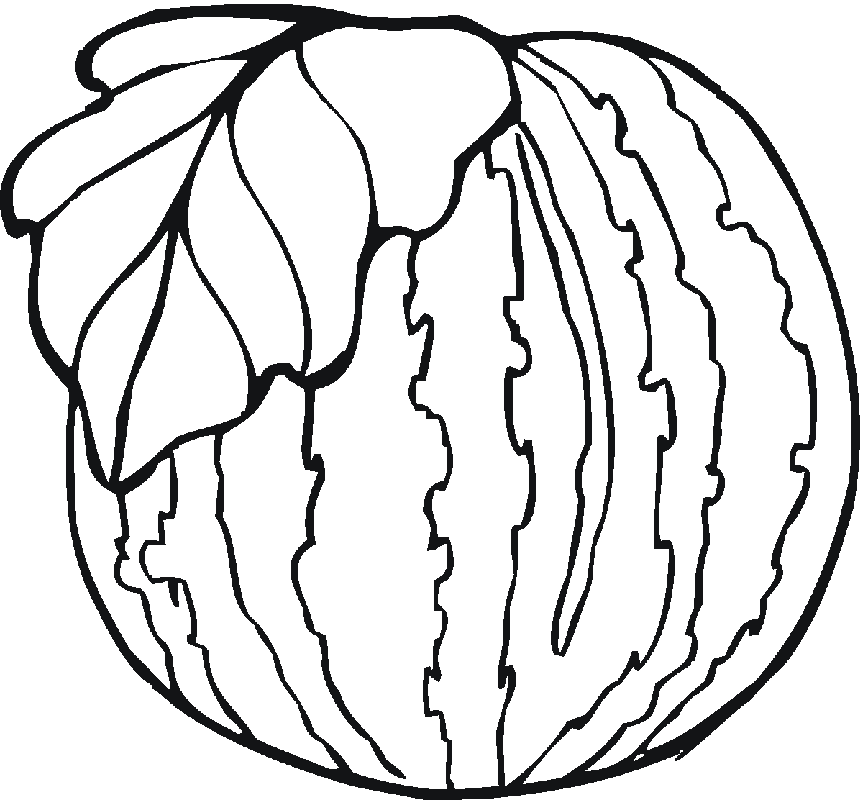 Watermelon Fruit Coloring Page