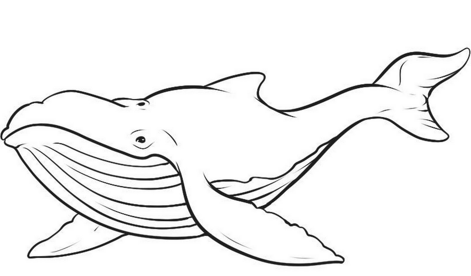 Whale Coloring Page