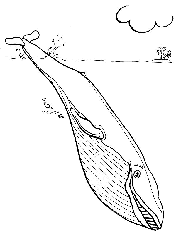 Whale - Ocean Coloring Page