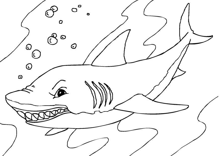 Shark Coloring Page 6