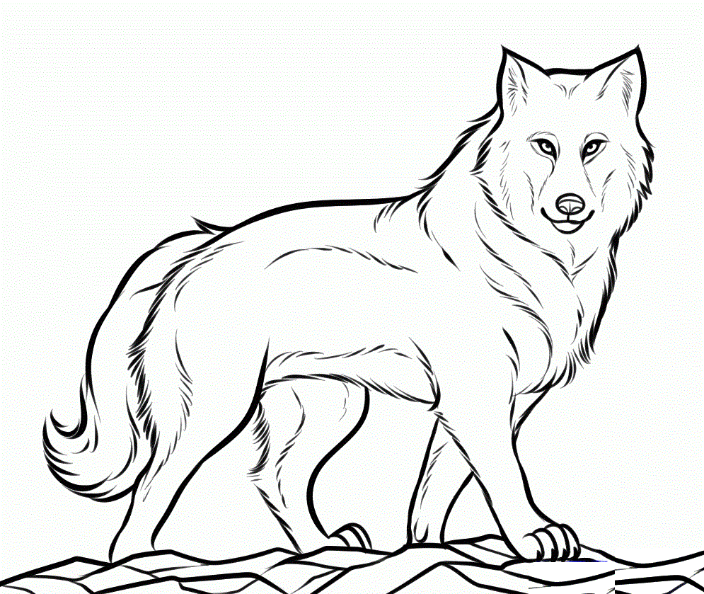 Wolf Coloring Pages Online