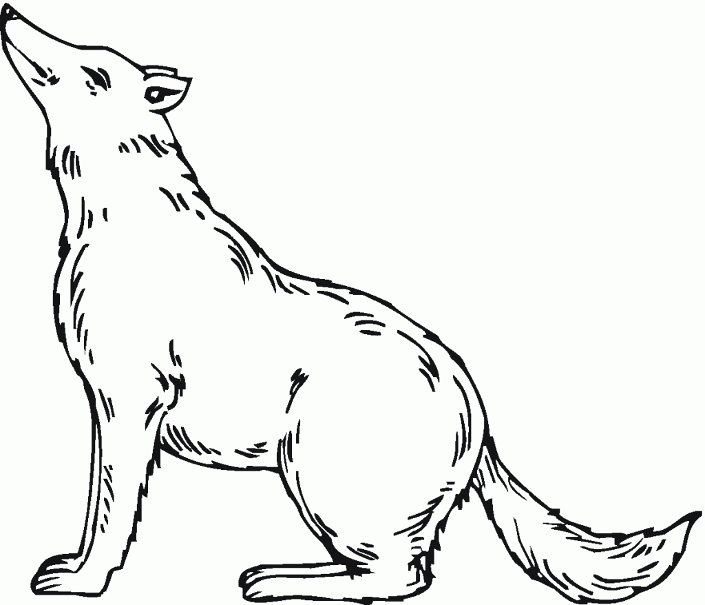 Wolf Coloring Pages To Print