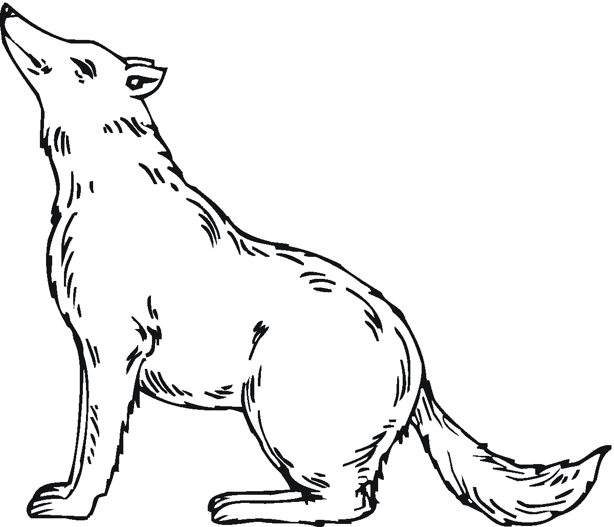 Free Printable Wolf Coloring Pages For Kids