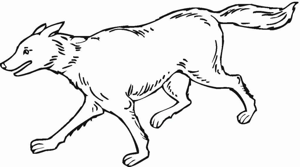 Wolf Printable Coloring Pages