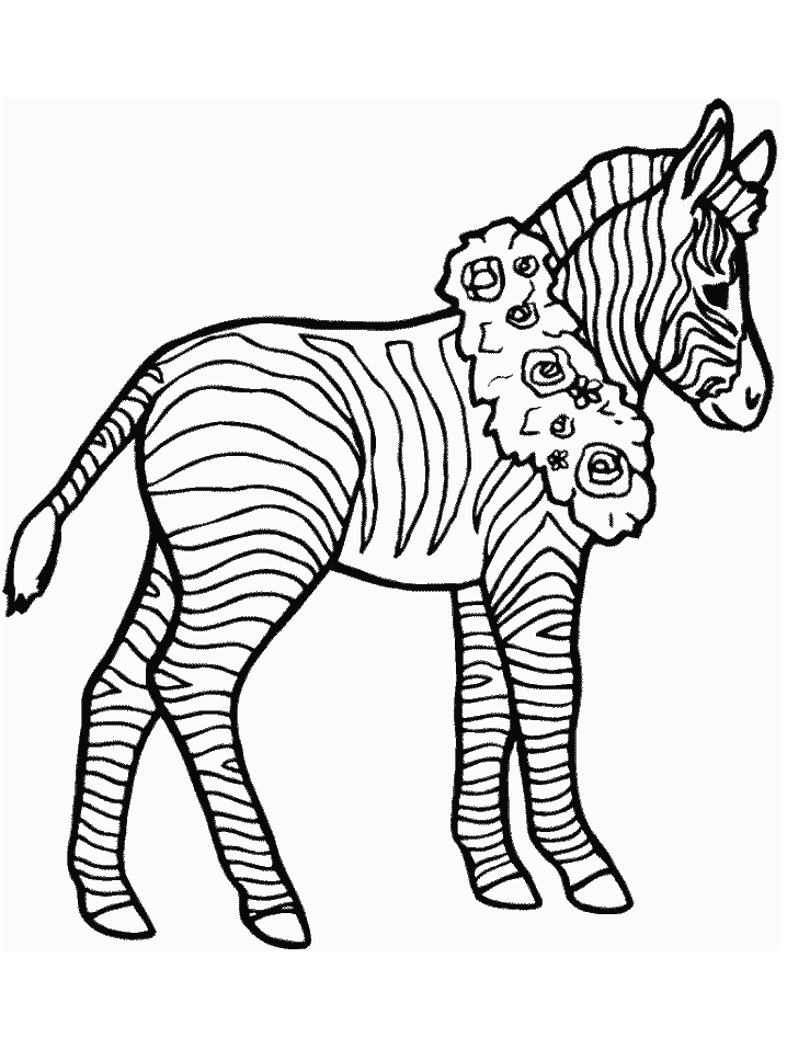 Zebra Color Page
