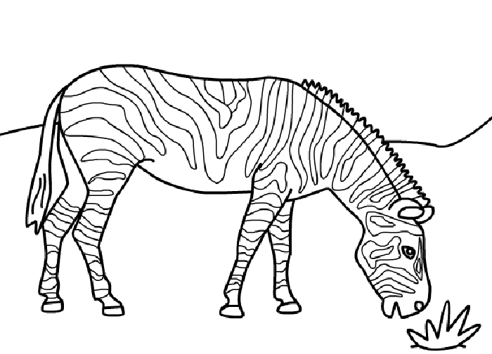 Printabel Coloring Pages Animal Zebarm For Kids 8