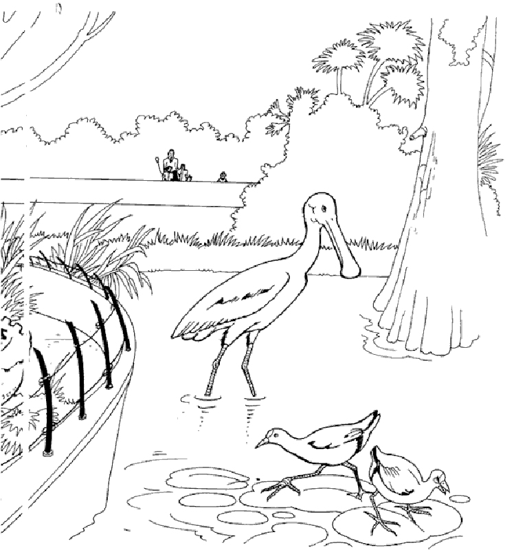 Zoo Animal Coloring Pages To Print