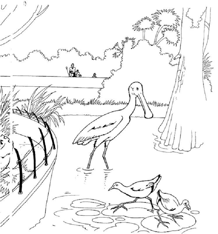 Coloriage animaux du zoo à imprimer