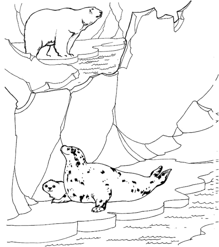 Coloriage animaux du zoo