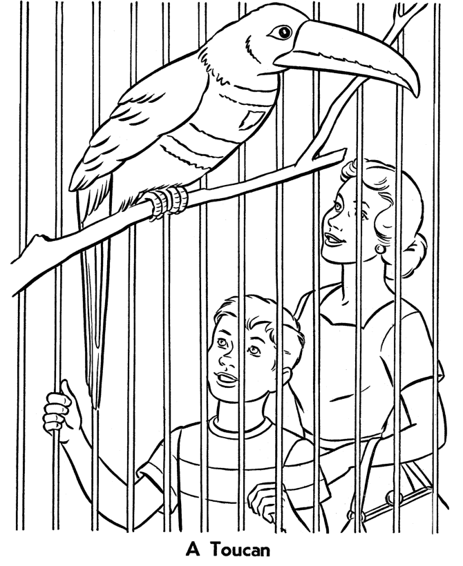 Zoo Animals Coloring Pages For Kids