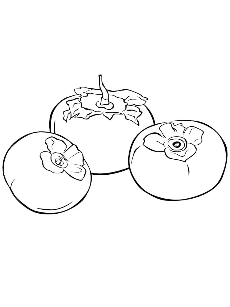 Persimmon Fruit Coloring Pages