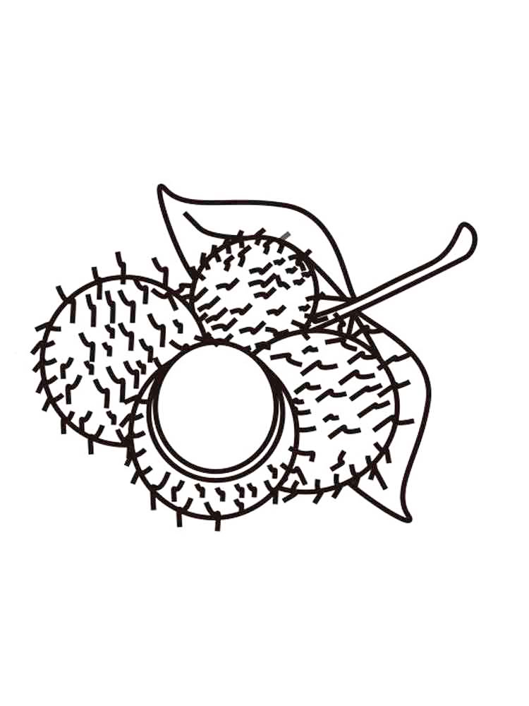 Rambutan Fruit Coloring Pages