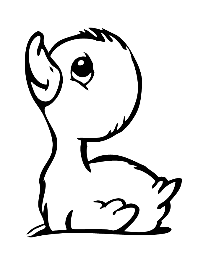 Baby Duck Coloring Page
