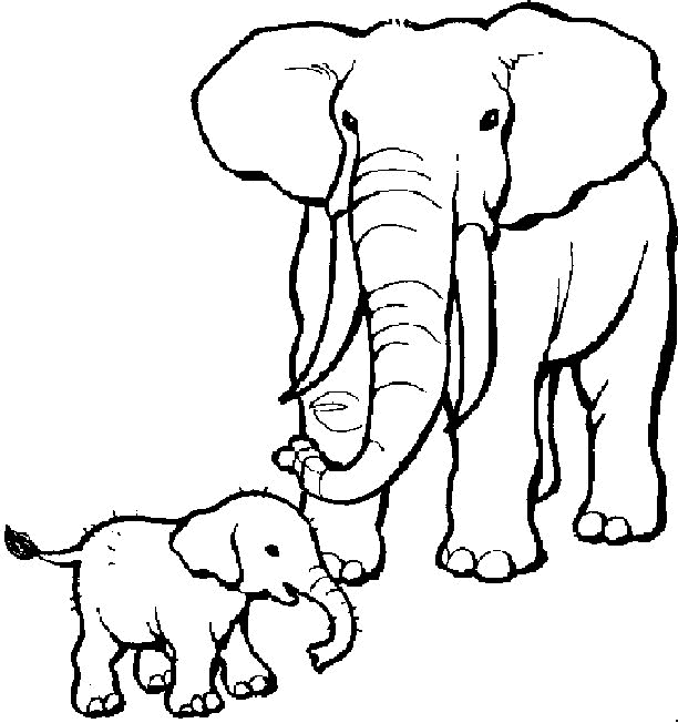 Baby And Mother Elephant Coloring Page