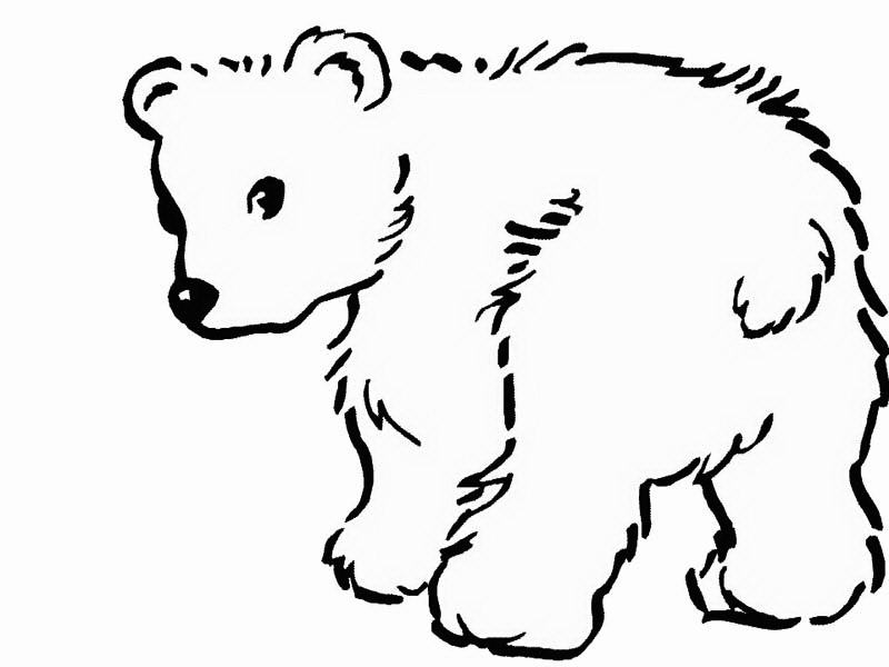 5600 Collections Coloring Pages Cute Bear  Latest Free