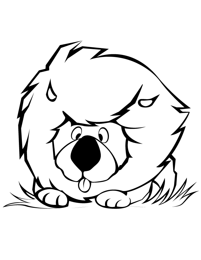 Free Printable Lion Coloring Pages For Kids