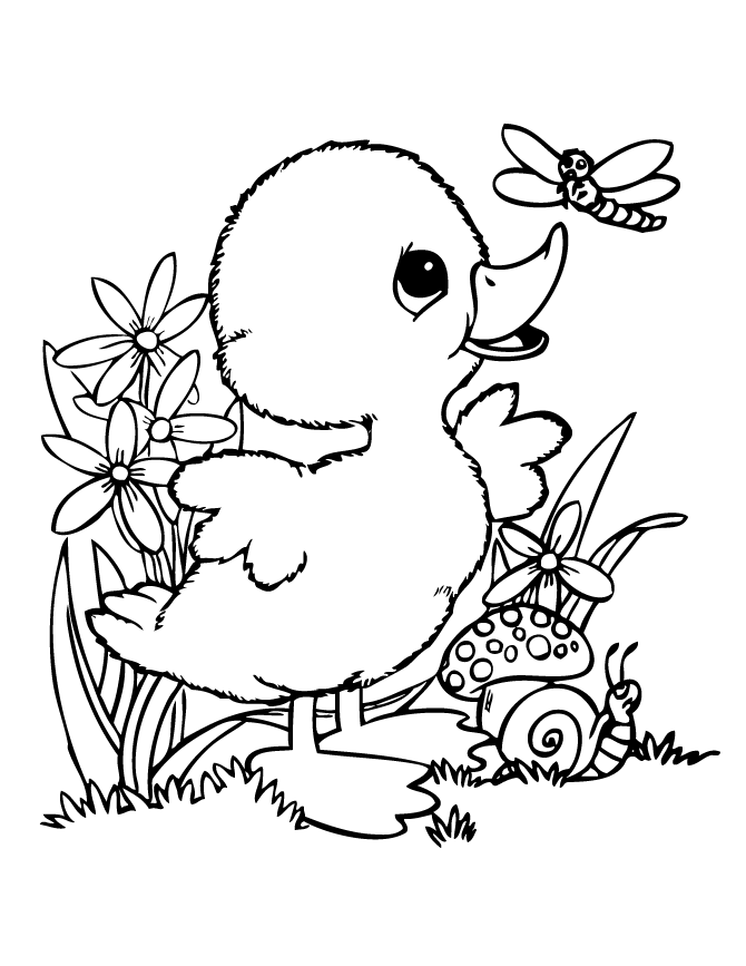 Duck And Bug Colroing Page
