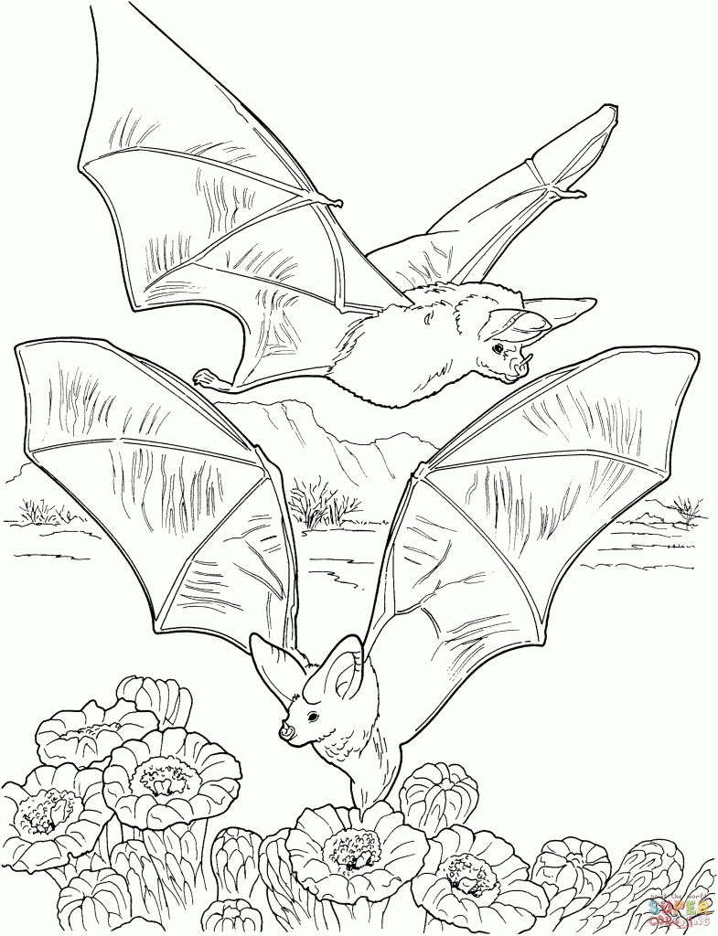Flying Bats Coloring Page