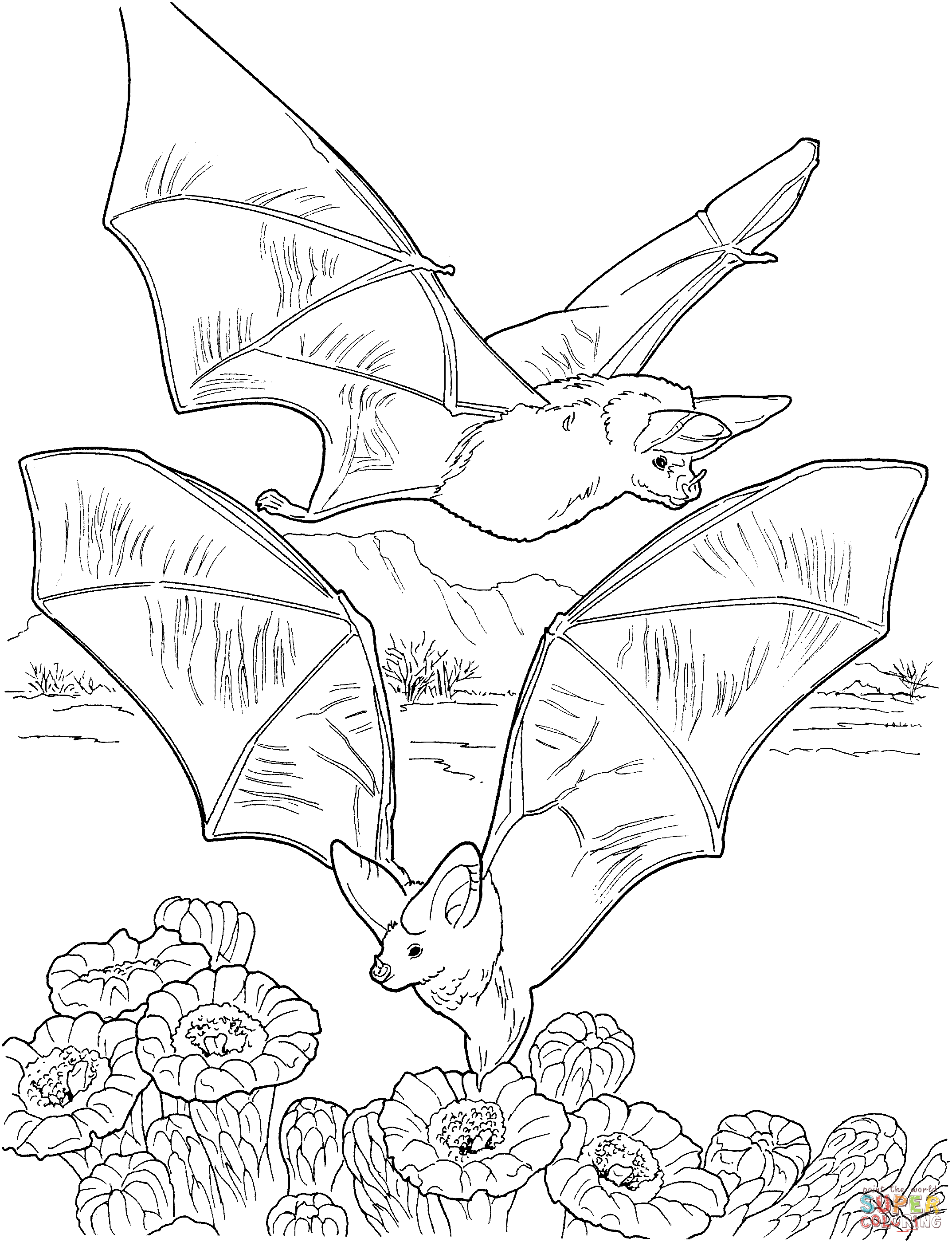 20 Cute Bat Coloring Pages You Can Print For Free