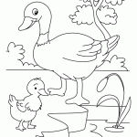 Mom And Baby Duck Coloring Page