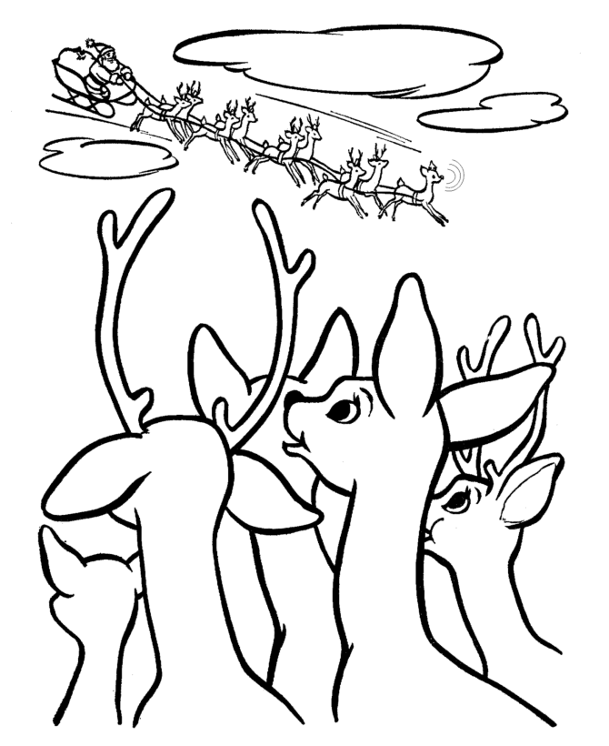 Reindeer And Sleigh Coloring Page