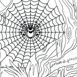 Spider and Web Coloring Page