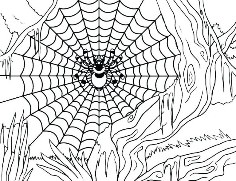 Free Printable Spider Coloring Pages For Kids