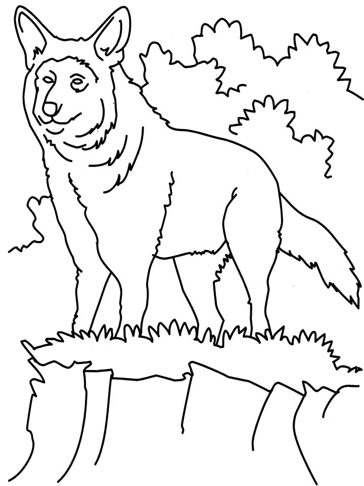 Wolf In The Wild Coloring Page