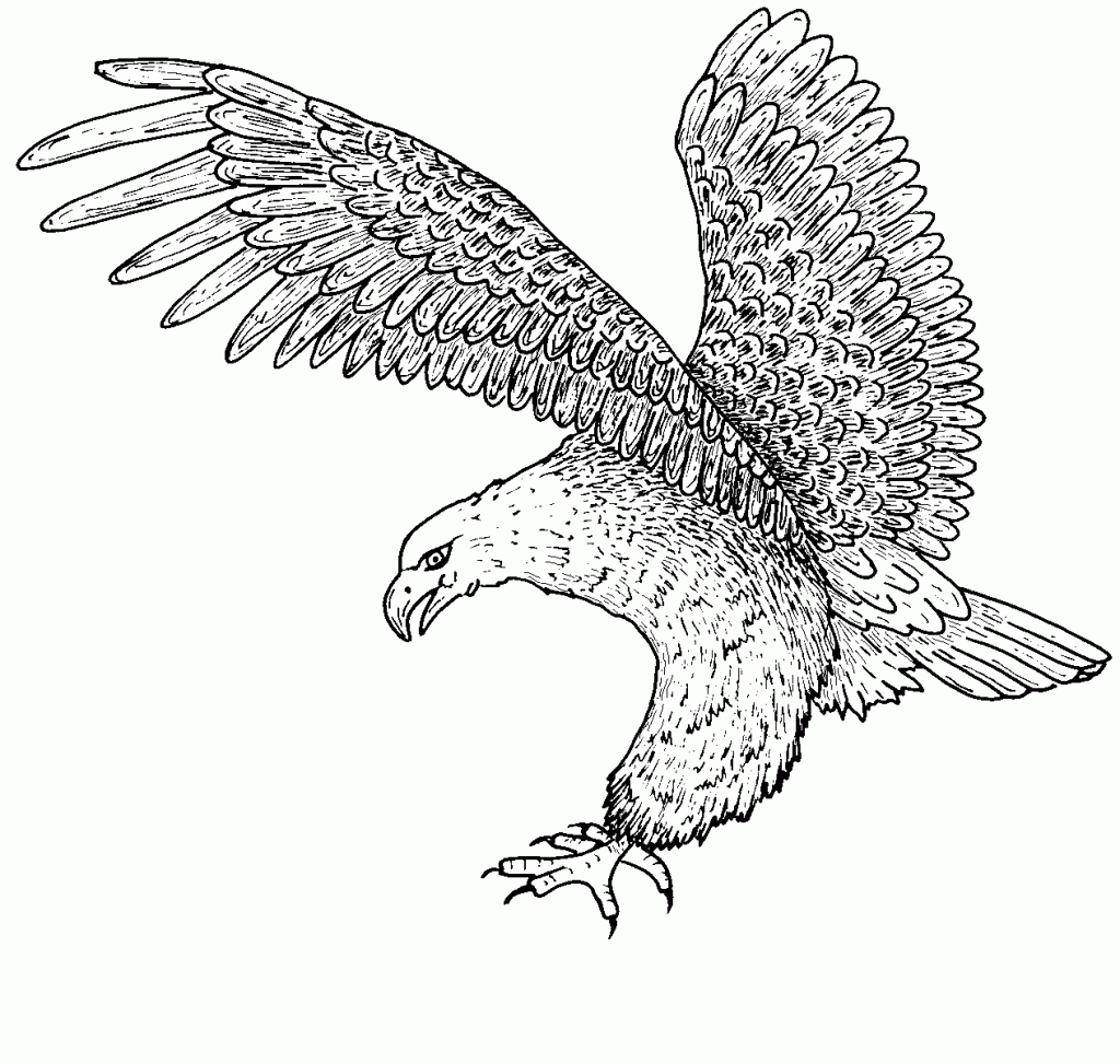 Bald Eagle Coloring Page