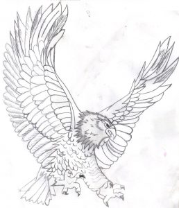 free printable bald eagle coloring pages for kids