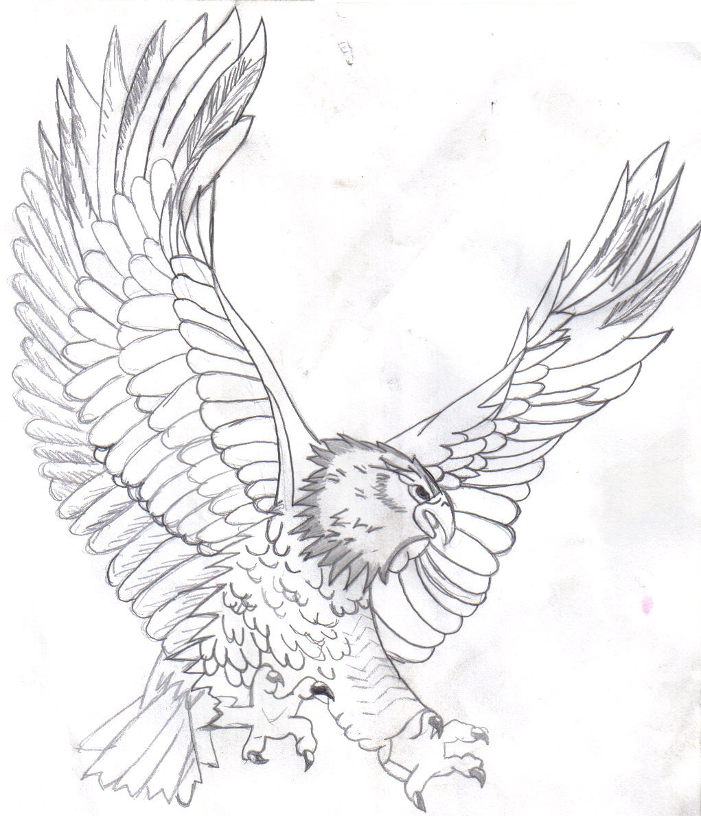 Flying Eagle Coloring Coloring Pages