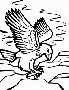 free printable bald eagle coloring pages for kids