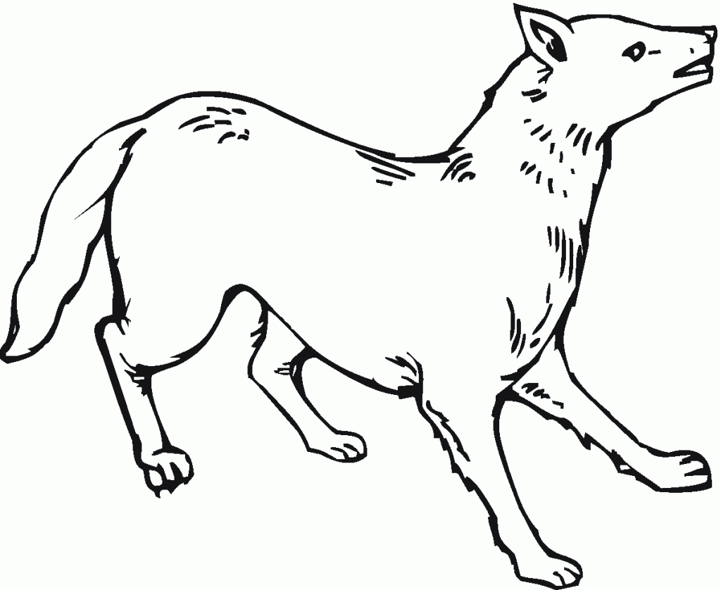 Coloring Pages of Coyote