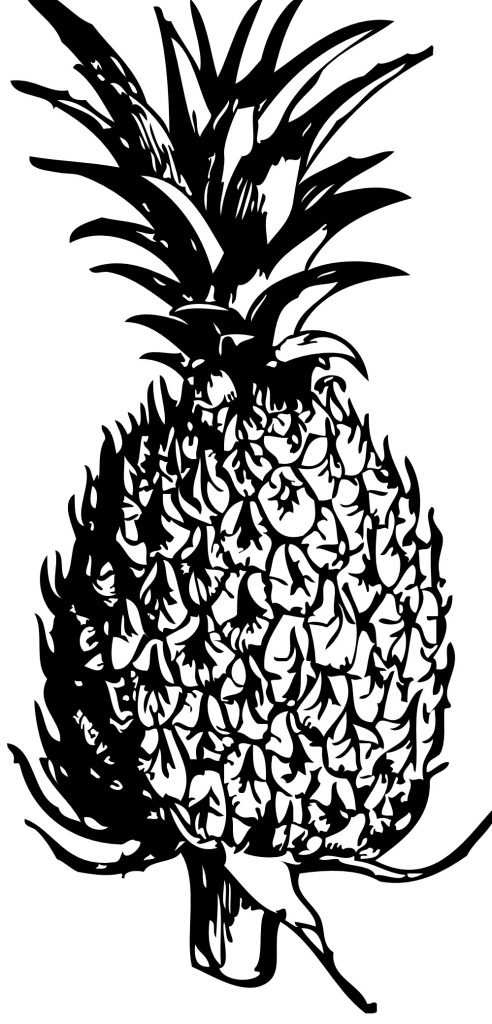 Coloring Pages of Pineapple