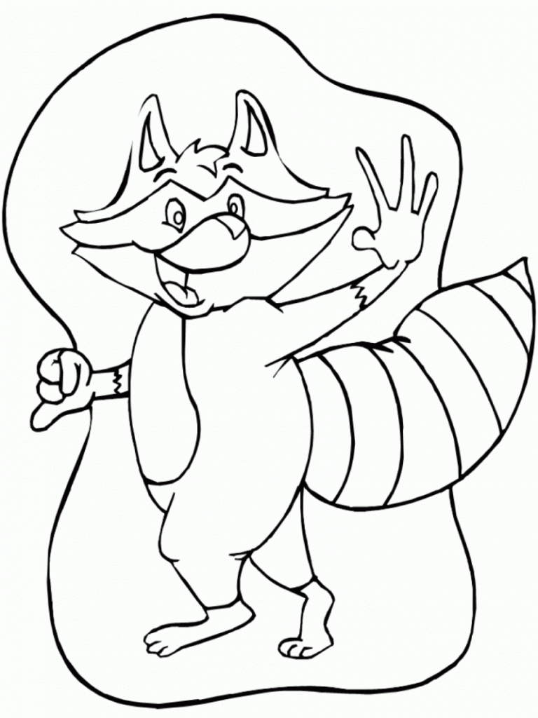 Coloring Pages of Raccoon