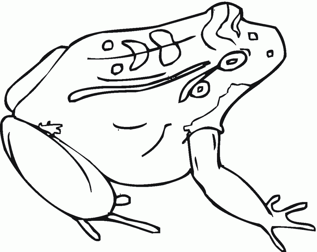 Coloring Pages of Toad
