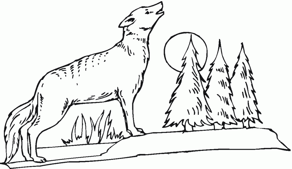 Coyote Coloring Pages Printable