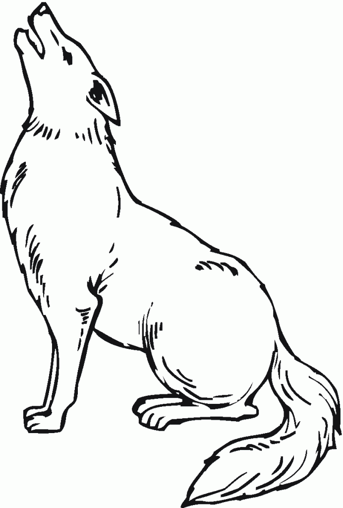 Coyote Coloring Pages To Print