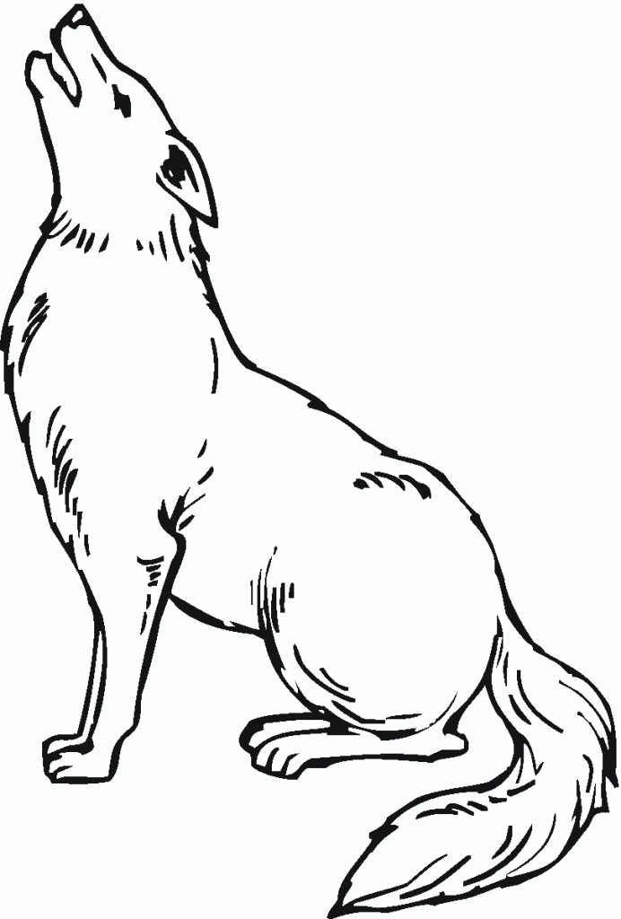 Free Printable Coyote Coloring Pages For Kids