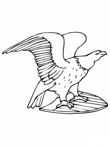 free printable bald eagle coloring pages for kids