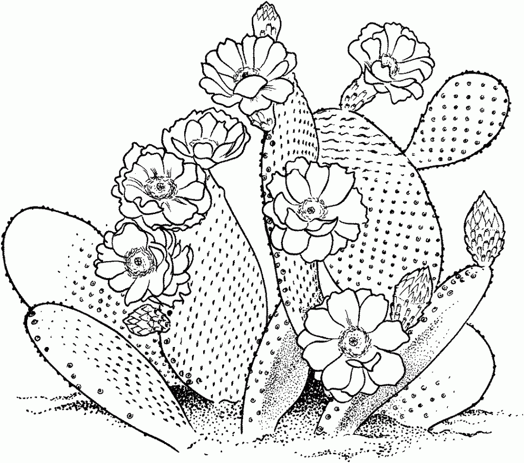 Download Free Printable Cactus Coloring Pages For Kids