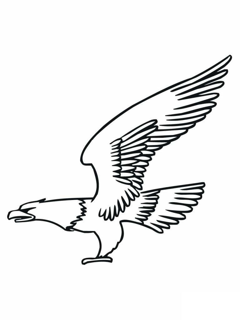 Free Coloring Pages of Bald Eagle